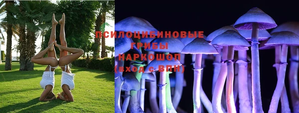 МДПВ Абдулино