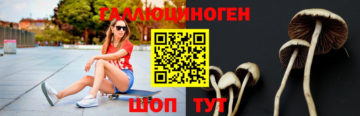 Псилоцибиновые грибы GOLDEN TEACHER  Вход с VPN  Волжский  Галлюциногенные грибы MAGIC MUSHROOMS 