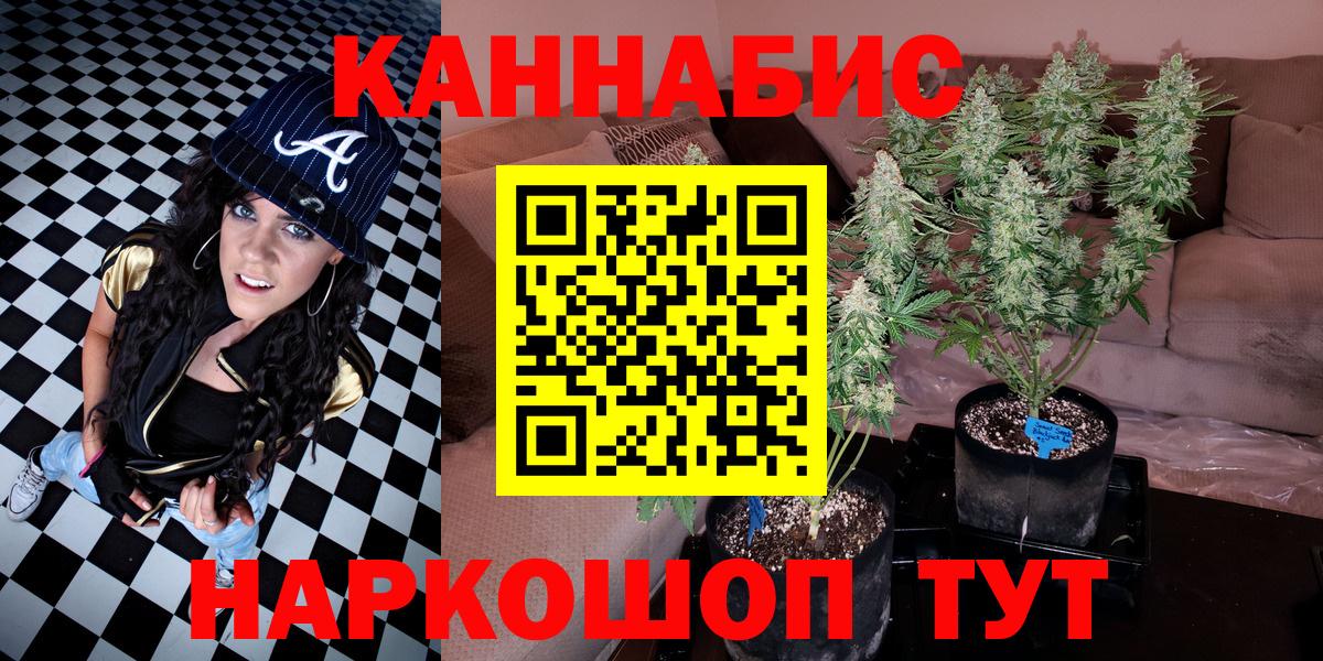 Бошки марихуана сатива  Вход с VPN  Конопля сатива  Волжский  МАРИХУАНА план 